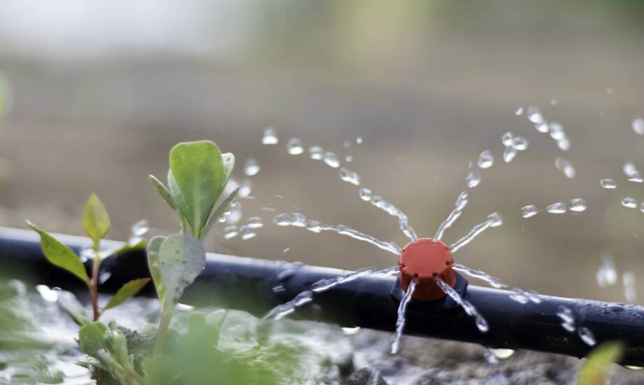 Korzyści z zastosowania czujników wilgotności w systemach nawadniających