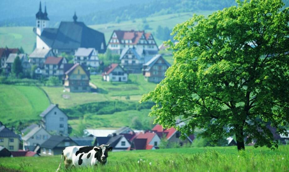 Relaks w Bieszczadach - jak nasze domki zapewniają udany wypoczynek