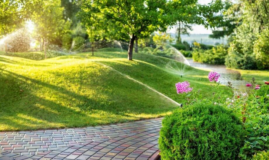 Jak oszczędzać wodę dzięki inteligentnym systemom nawadniającym?