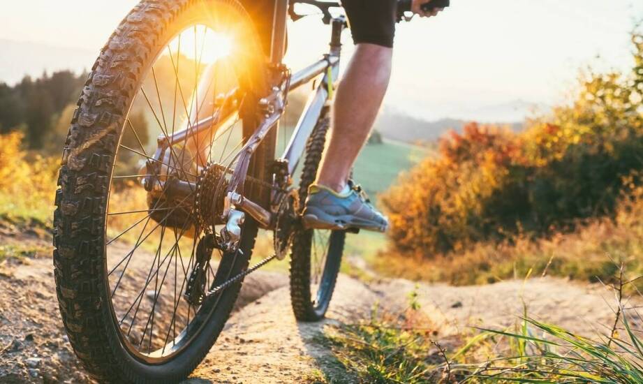 Jakie zalety oferują przerzutki Shimano dla rowerzystów górskich?