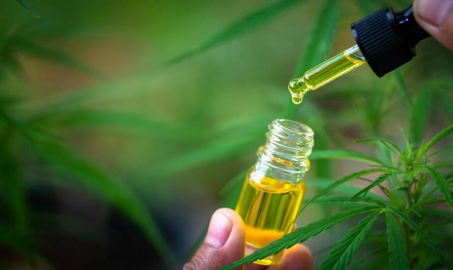 Olejek CBD: różnorodność stężeń i ich zastosowanie
