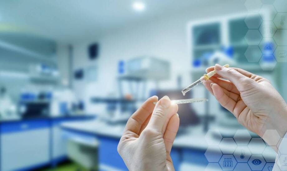 Praktyczne aspekty stosowania testów PCR w hodowli konopi