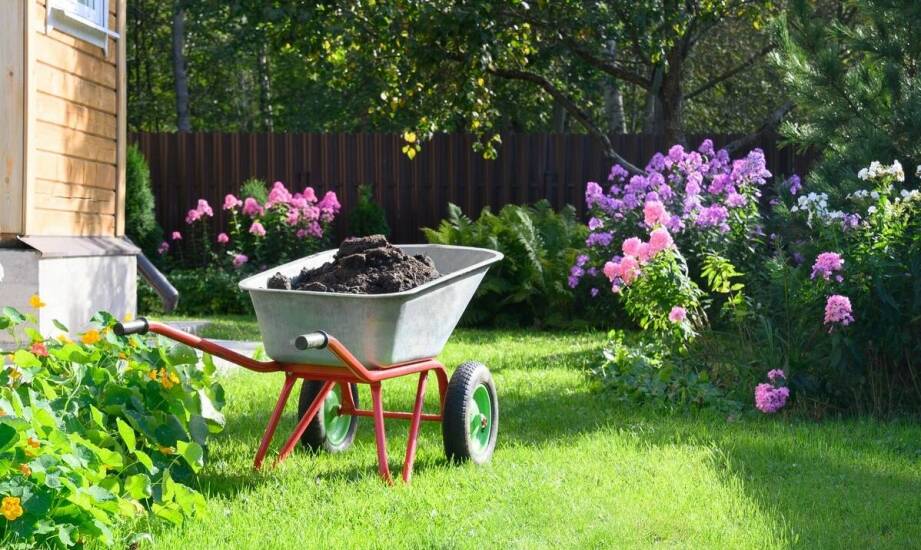 Zakładanie trawnika na starym trawniku: Poradnik krok po kroku