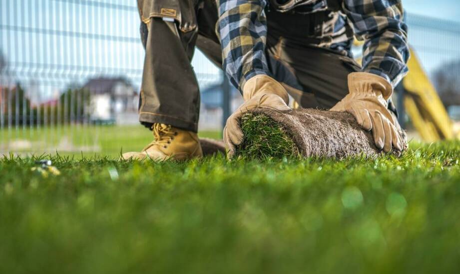 Jakie czynniki należy wziąć pod uwagę przy wyborze trawnika rolowanego?