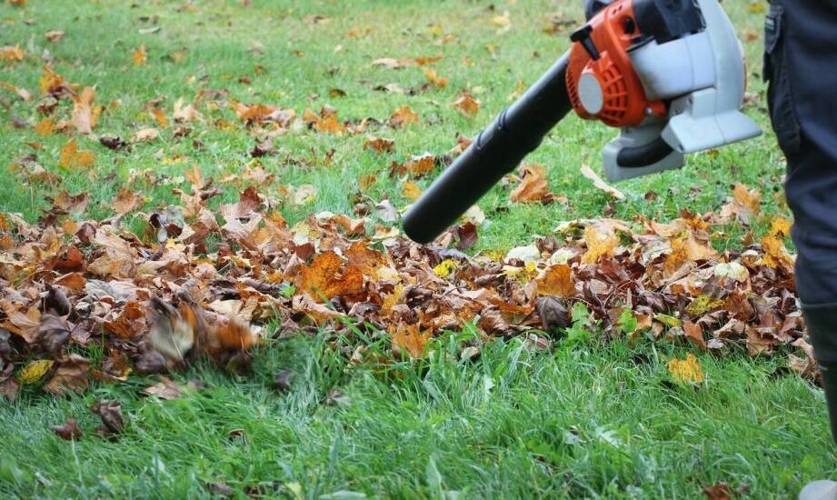 Dmuchawa Makita 36V – idealne rozwiązanie dla profesjonalistów