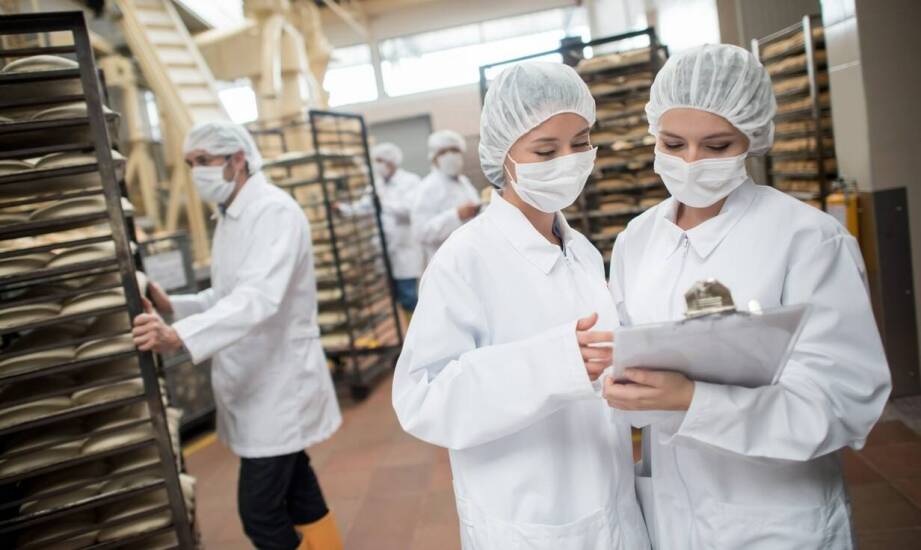 Jak zarządzanie projektem "Zaprojektuj i Wybuduj" wpływa na sukces linii do produkcji pasz granulowanych?
