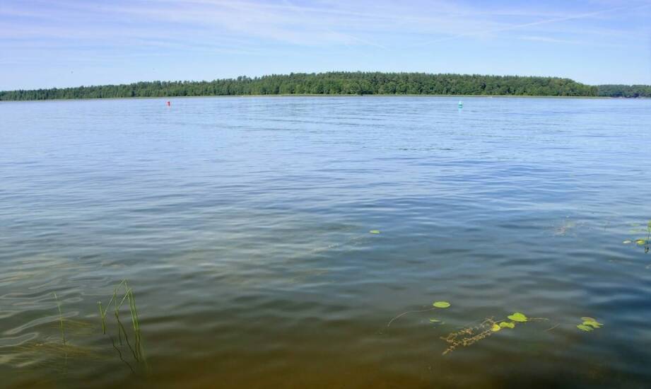 Stand Up Paddle (SUP) - jak certyfikacja wpływa na standardy szkoleń?