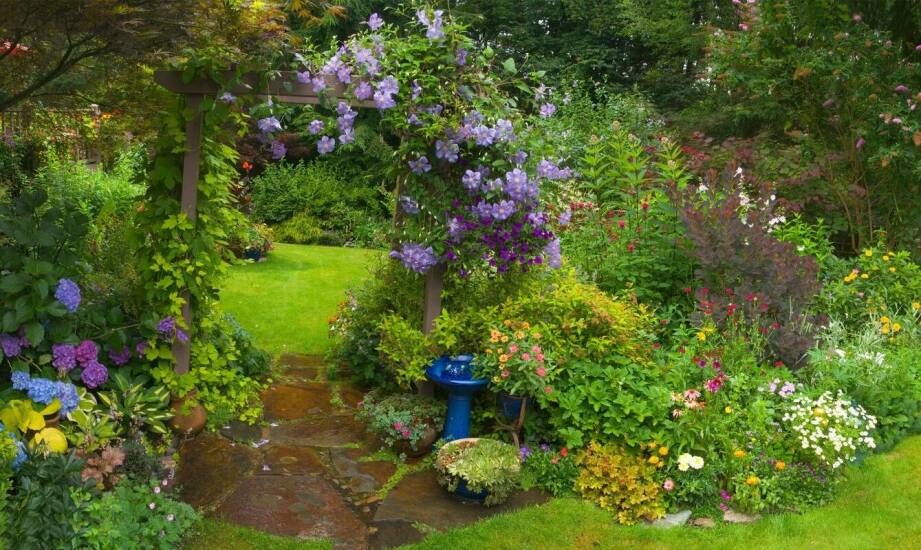 Niezwykłe właściwości budlei fioletowej: przyciąganie motyli do ogrodu