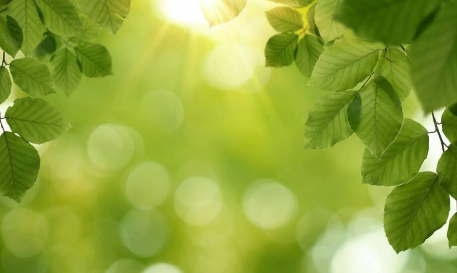 Co wyróżnia Pawilon A w Sanatorium Jan Kazimierz Duszniki Zdrój?