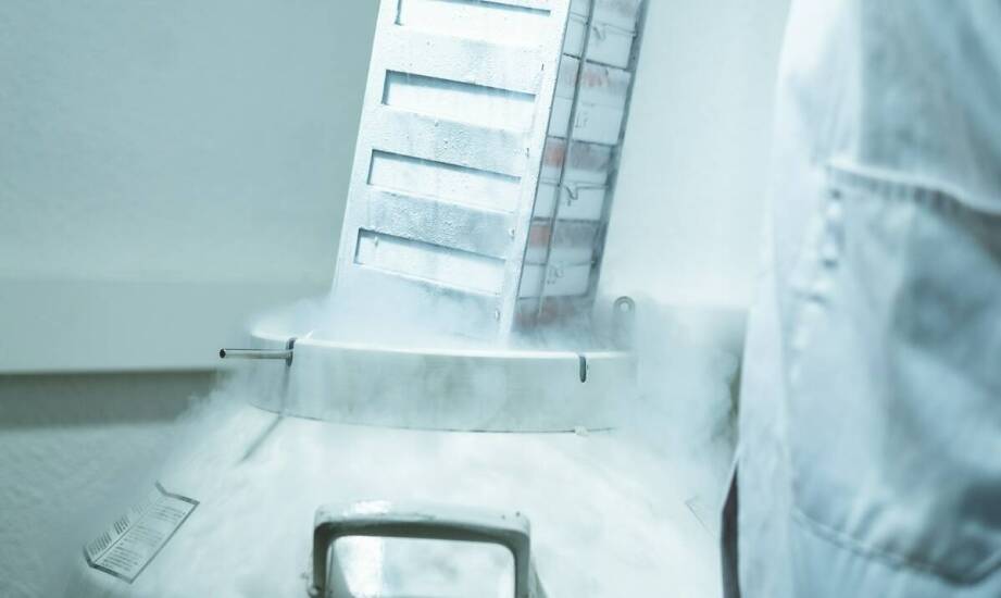 Czy cena płynnego azotu wpływa na decyzje o dzierżawie zbiorników?