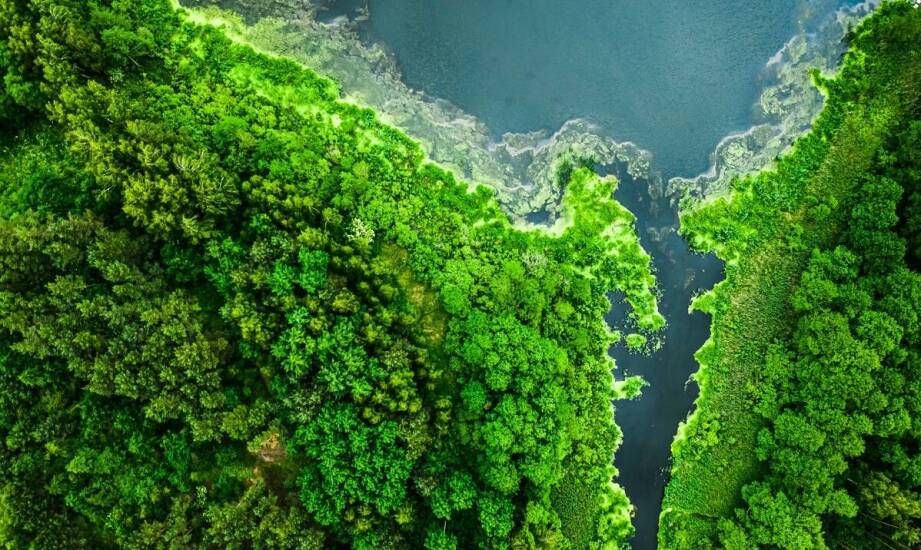 Znaczenie masy w projektowaniu trwałych zbiorników retencyjnych