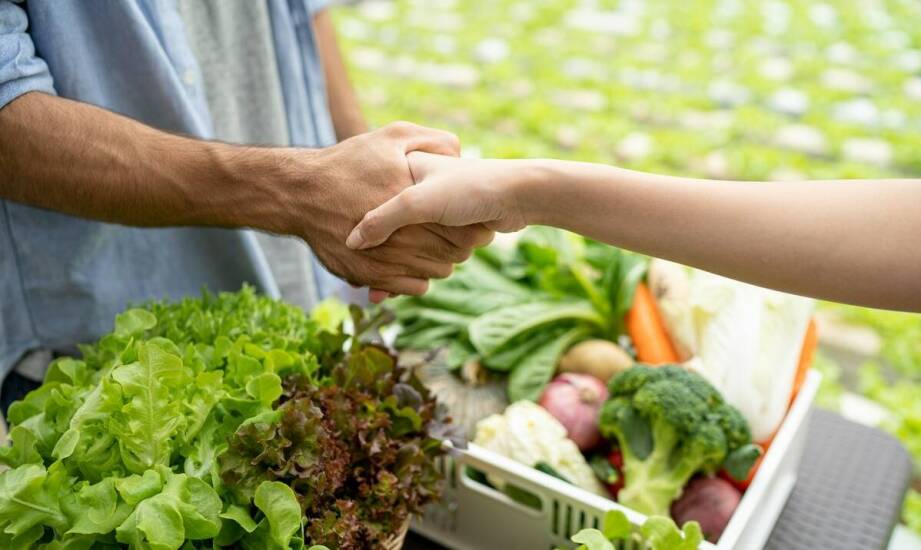 Rola lokalnych producentów w ochronie przyrody i promocji zdrowej żywności