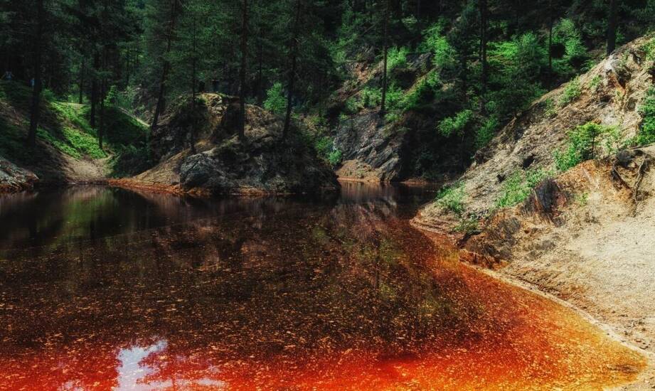 Przydatność badań laboratoryjnych w ocenie jakości ścieków i ich wpływu na środowisko