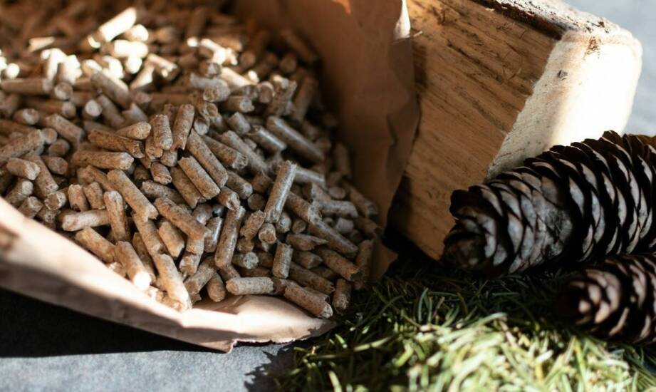 Jak generator dymu z grzałką wpływa na smak wędzonych potraw?