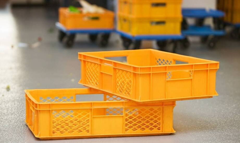 Jakie innowacje wprowadzono w ostatnich latach w koszach transportowych dla gołębi?