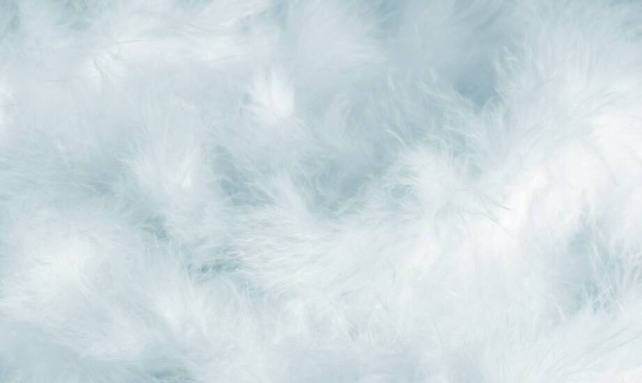 Znaczenie skupu pierza używanego dla zrównoważonego rozwoju