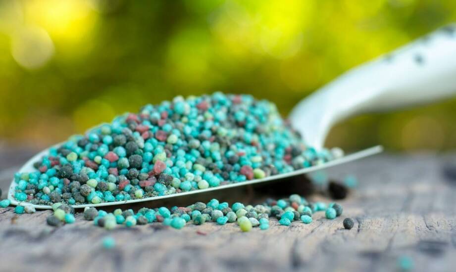 Preparaty ochronne pasz: innowacyjne podejścia do wspierania zdrowia zwierząt