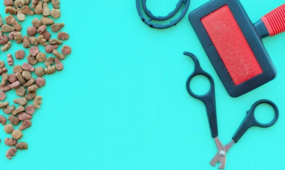 Jakie grzebienie do grzywy są najbardziej polecane przez ekspertów