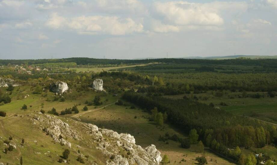 Dlaczego leśniczówka jest doskonałym miejscem na ucieczkę od codzienności?
