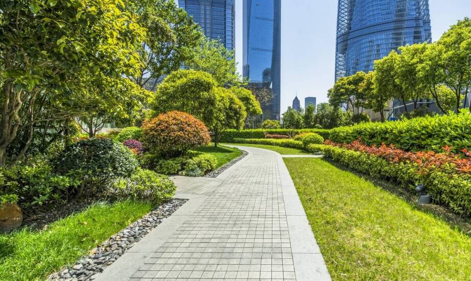 Dlaczego profesjonalne sprzątanie jest ważne dla bezpieczeństwa na terenach zielonych?