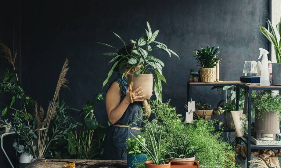 Zalety stosowania doniczek naturalnych w hodowli roślin