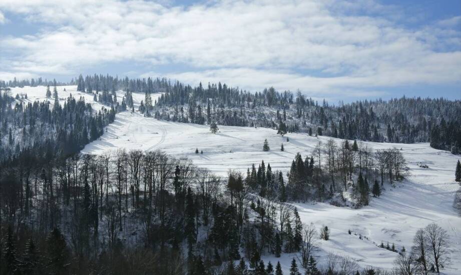 Jakie są najnowsze trendy w narciarstwie w Starym Smokowcu?