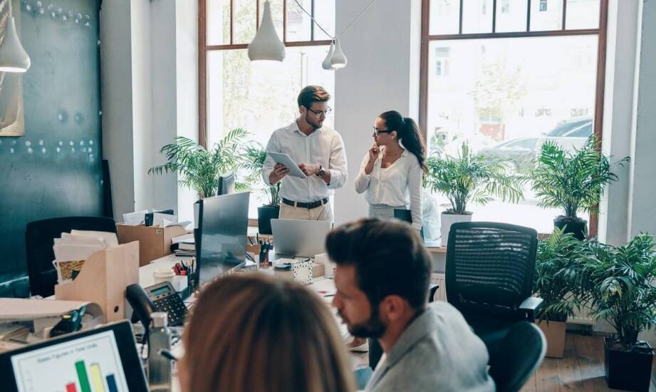 Jak wsparcie techniczne wypożyczalni mierników wpływa na jakość testów sieciowych?