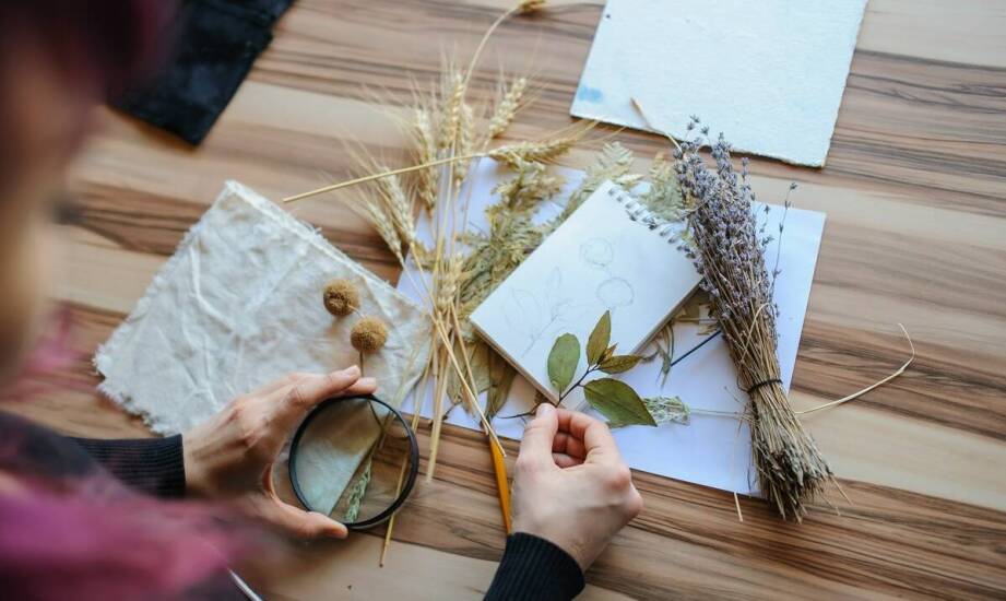 Jakie są zalety korzystania z ekologicznych materiałów przy kolorowaniu wzorów do wydruku PDF?