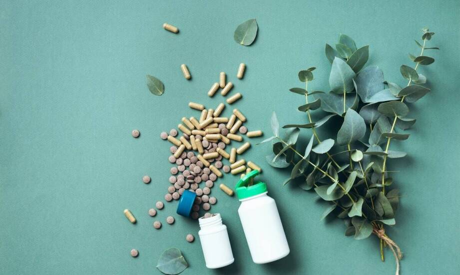 Wpływ suplementów na poprawę funkcji wątroby u gołębi