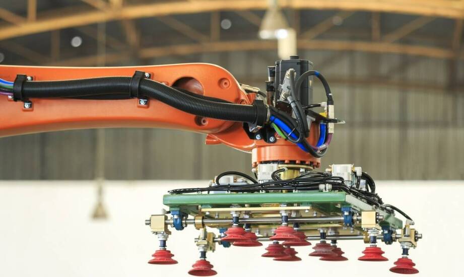 Przyszłość linii do produkcji pasz granulowanych – najnowsze trendy