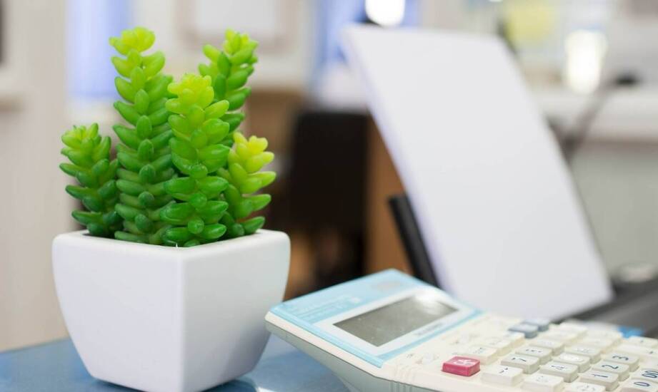 Wybór kalkulatora max – na co zwrócić uwagę przed zakupem?