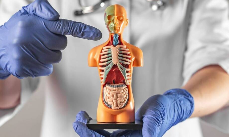 Znaczenie regularnych badań urologicznych dla zdrowia układu moczowego