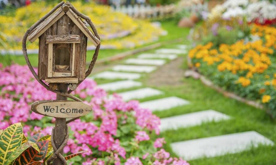 Jabłoń Rubin jako element estetyczny w ogrodzie