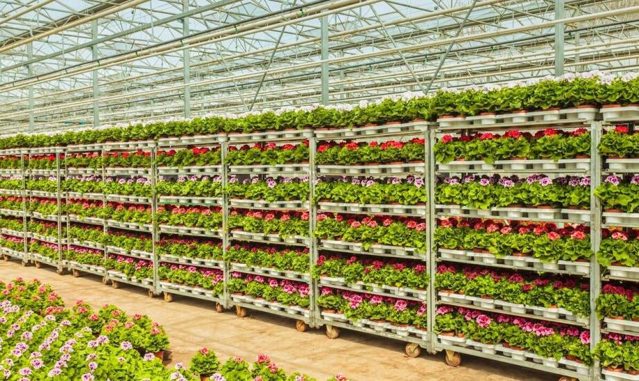 Skrzynki na warzywa – jak zapewnić odpowiednie nawodnienie roślin?