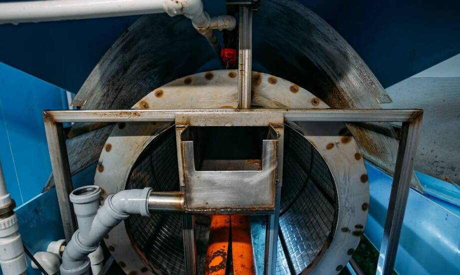 Czy prasa do tłoczenia soków jest odpowiednia dla każdego rodzaju owoców?