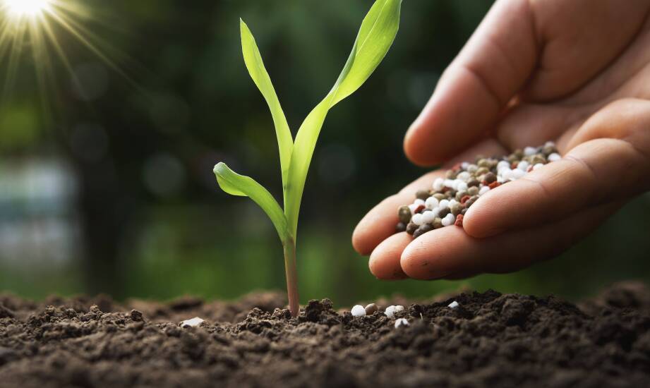 Nawozy dolistne – co oferuje sklep rolniczy dla zwiększenia plonów?