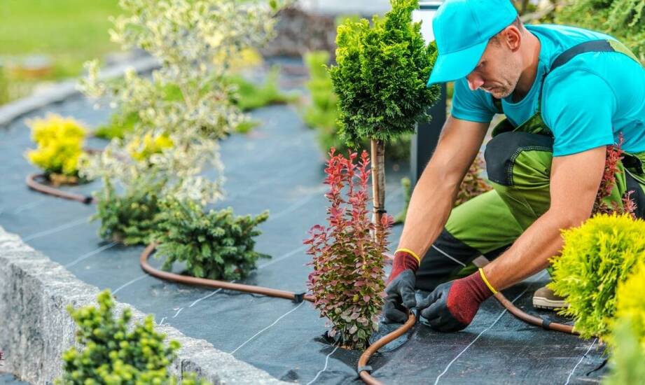 Automatyczne systemy nawodnieniowe: dlaczego warto zainwestować?