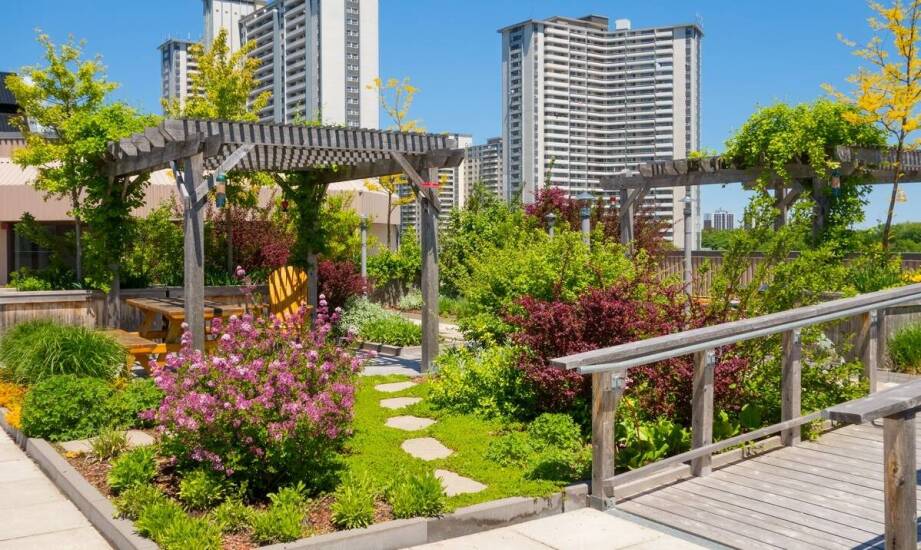 Zalety platform dla niepełnosprawnych w domach jednorodzinnych