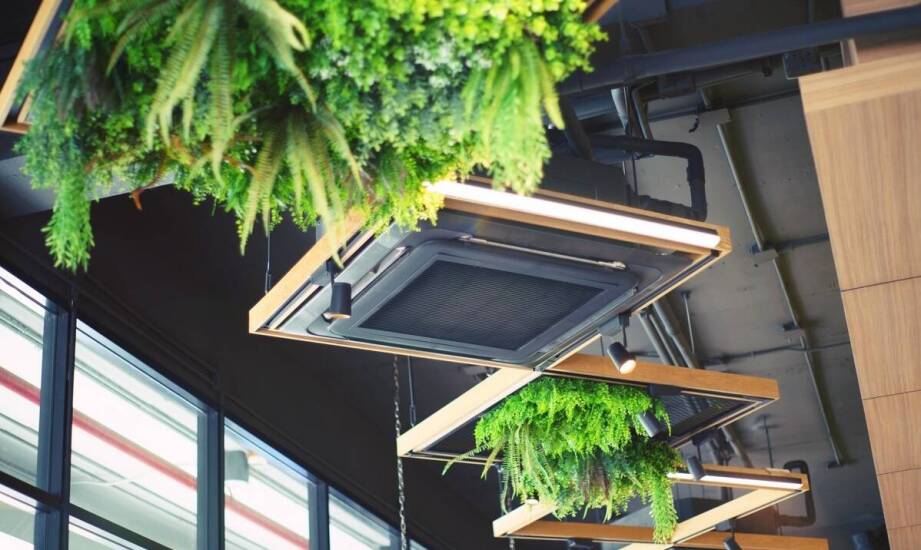 Znaczenie filtrów z węglem aktywnym w eliminacji zapachów w hotelach