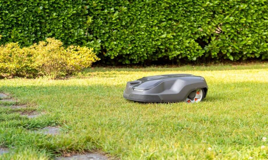 Poradnik zakupowy: na co zwrócić uwagę wybierając kosiarkę z silnikiem indukcyjnym?