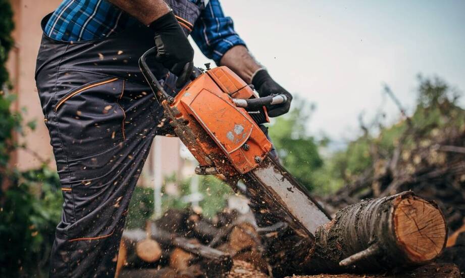 Wypożyczalnia pił spalinowych – jakie są dostępne opcje umów?