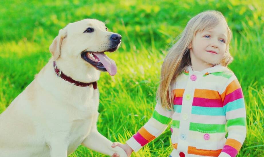 Odporność na zarysowania – kluczowa cecha naszych zdjęć nagrobkowych