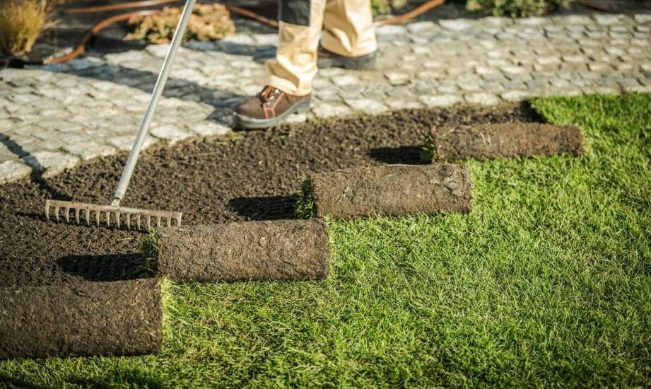 Rola trawy z rolki w projektowaniu nowoczesnych ogrodów