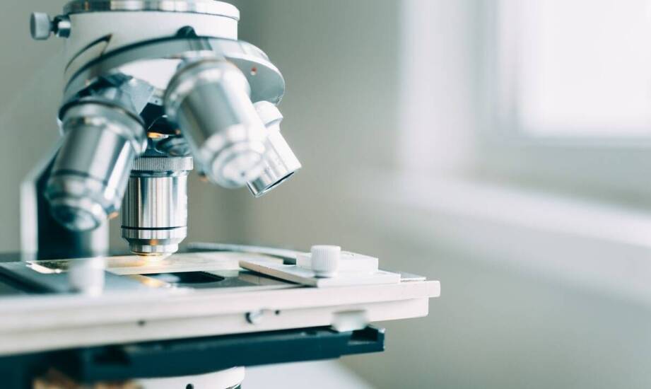 Jakie są najnowsze trendy w produkcji odczynników do mikroskopii elektronowej?