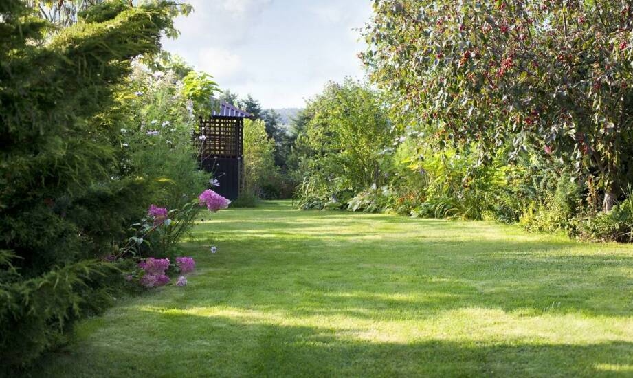 Trawniki z rolki na terenach sportowych – jakie czynniki wpływają na ich wybór?