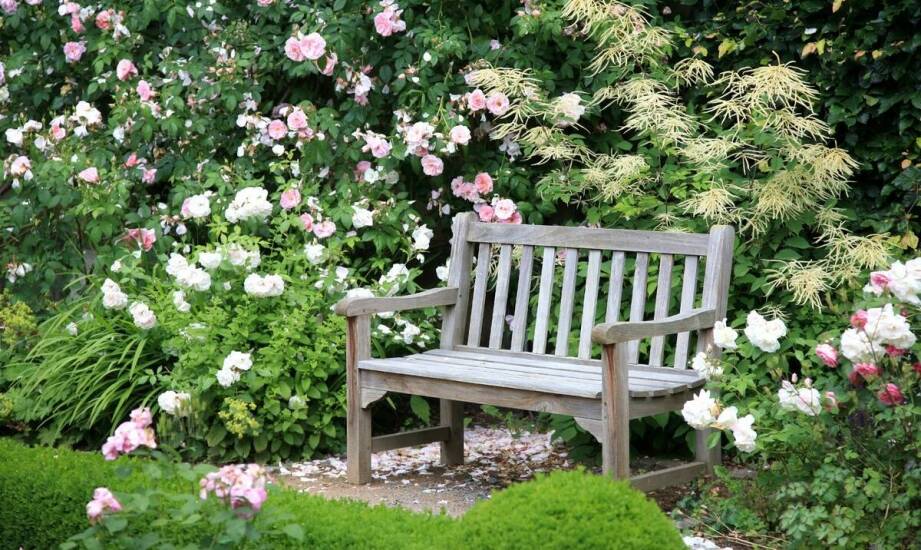 Nowoczesne podpory kwiatowe: Jak wybrać odpowiedni styl do twojego ogrodu?