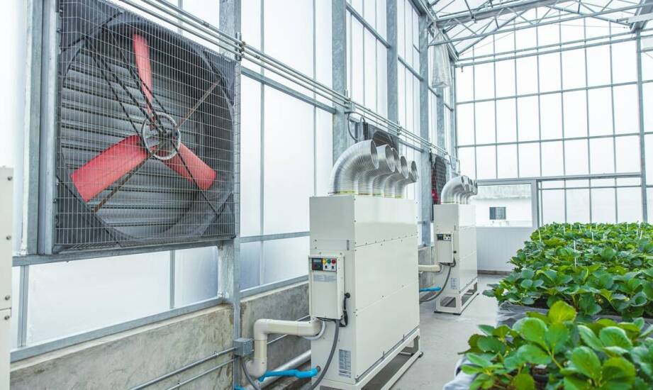 Zastosowanie dmuchaw typu Roots w systemach uzdatniania powietrza