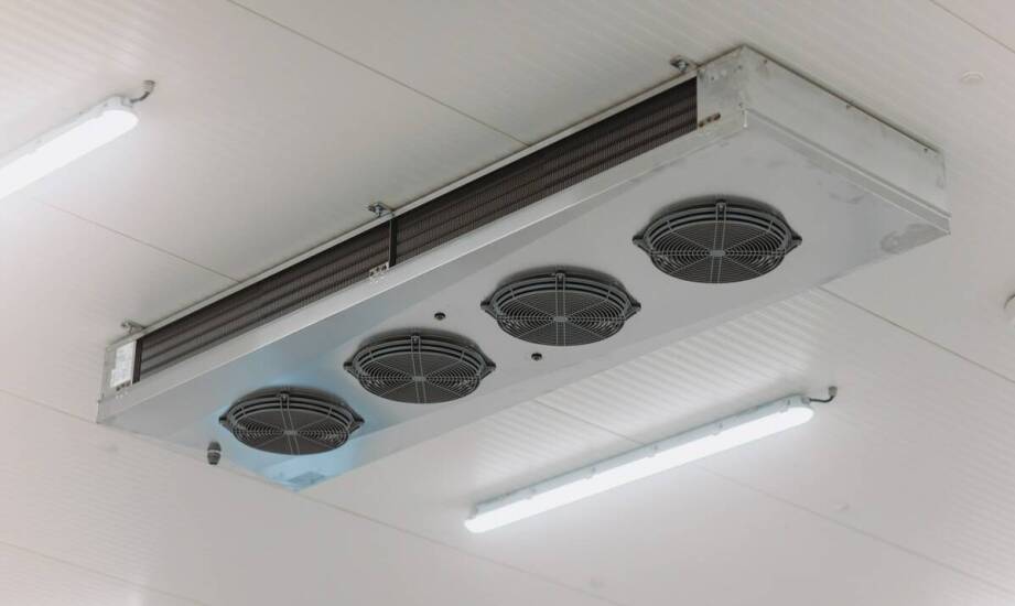 Jak personalizowane rozwiązania w lodówkach mogą zaspokoić potrzeby klientów?