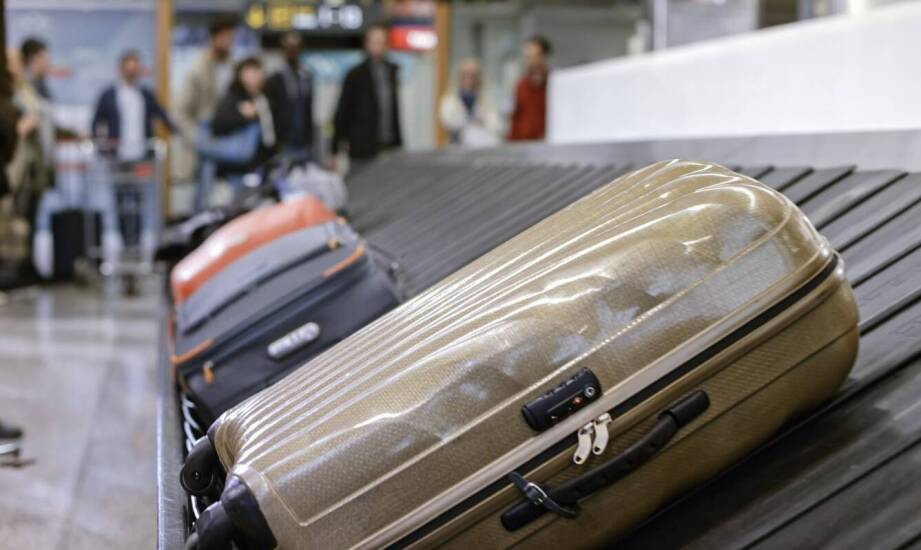 Jak hurtownia walizek wpływa na dostępność modeli i cenę?