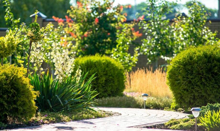 Zrównoważone rozwiązania w nawadnianiu ogrodów: ekologia i efektywność